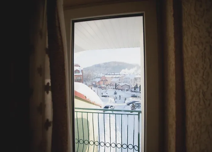 Smerichka * 波利亚纳