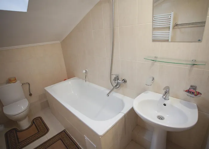 Smerichka * 波利亚纳